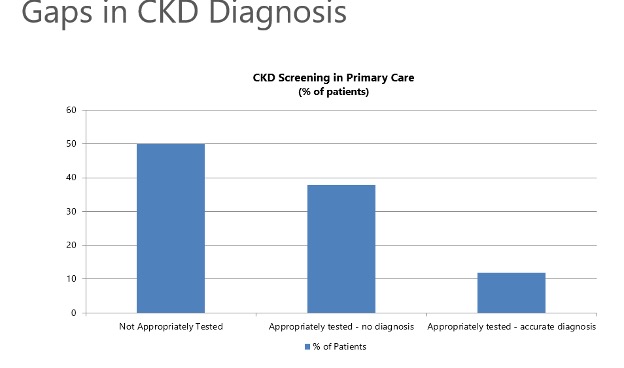 Figure 3. Gaps in CKD Diagnosis.