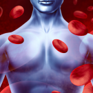 blood cells circulating