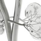 kidneys