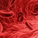 Blood