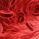 Blood