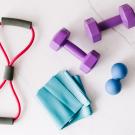 Exercise equipment. 