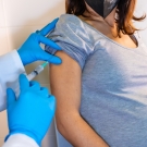 pregnant women vaccination