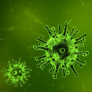 What Role Do Viruses Play in Pediatric Asthma Exacerbations?