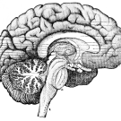 Children With an Identified Cause of Epilepsy Have a Poorer Response to Treatment