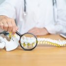 doctor looking at lower spine
