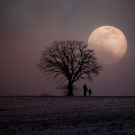 an adult and child stand below a tree