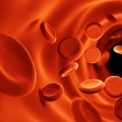 Blood cells image