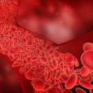 Blood cells, 3D illustration