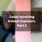 part 2 animal exposure