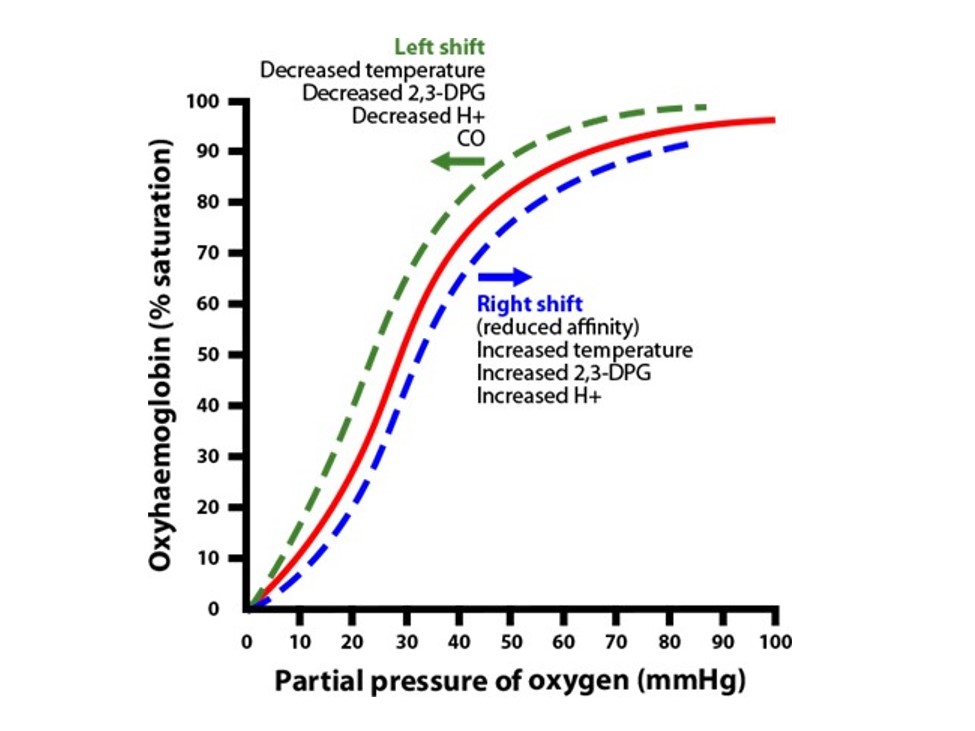 2204 Edge oxyhemoglobin dissociation curve EMS EMT paramedic critical care flightbridgeed Bauer