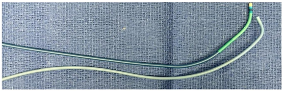 Figure 1B