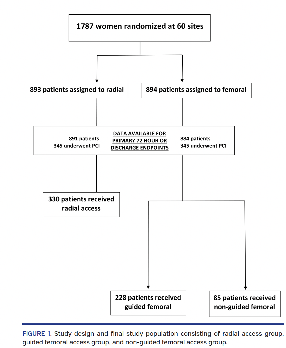 Study design and final study population consisting of radial access group, guided femoral access group, and non-guided femoral access group.