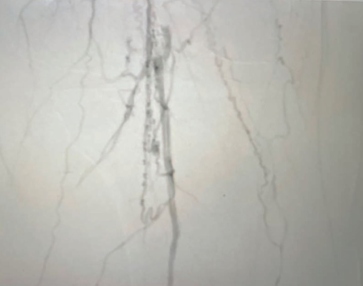 Golzar-Fig1B-May2025.png 