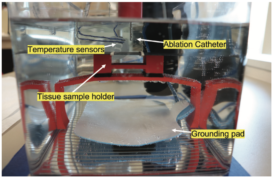 Safavi-Naeini Electrophysiology Figure 1