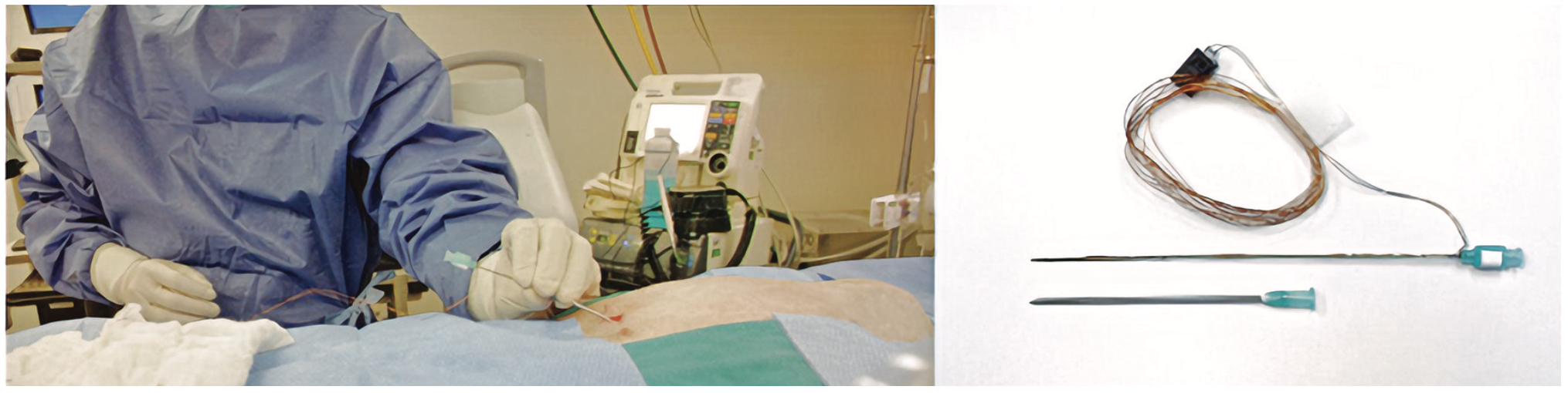 Safavi-Naeini Electrophysiology Figure 5