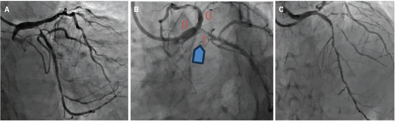 Sahoo,-Fig1-CLD-Sept 2025