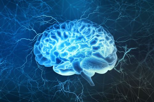 Blue Brain