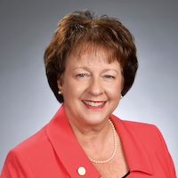 Laurie L. McNichol, MSN, RN, CNS, GNP, CWOCN, CWON-AP, FAAN