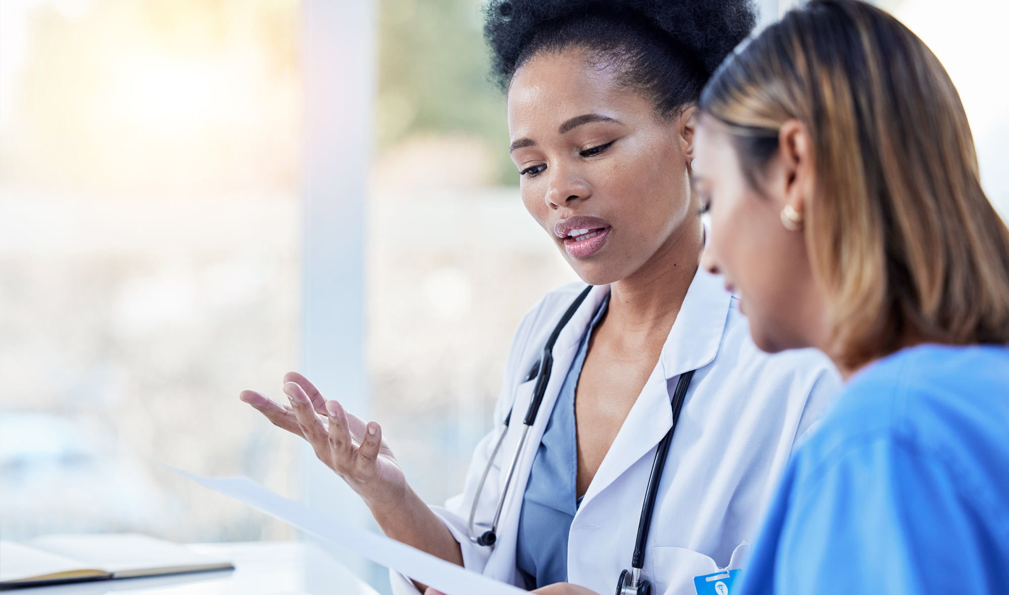 What's Included Image