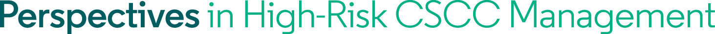 High Risk Logo 