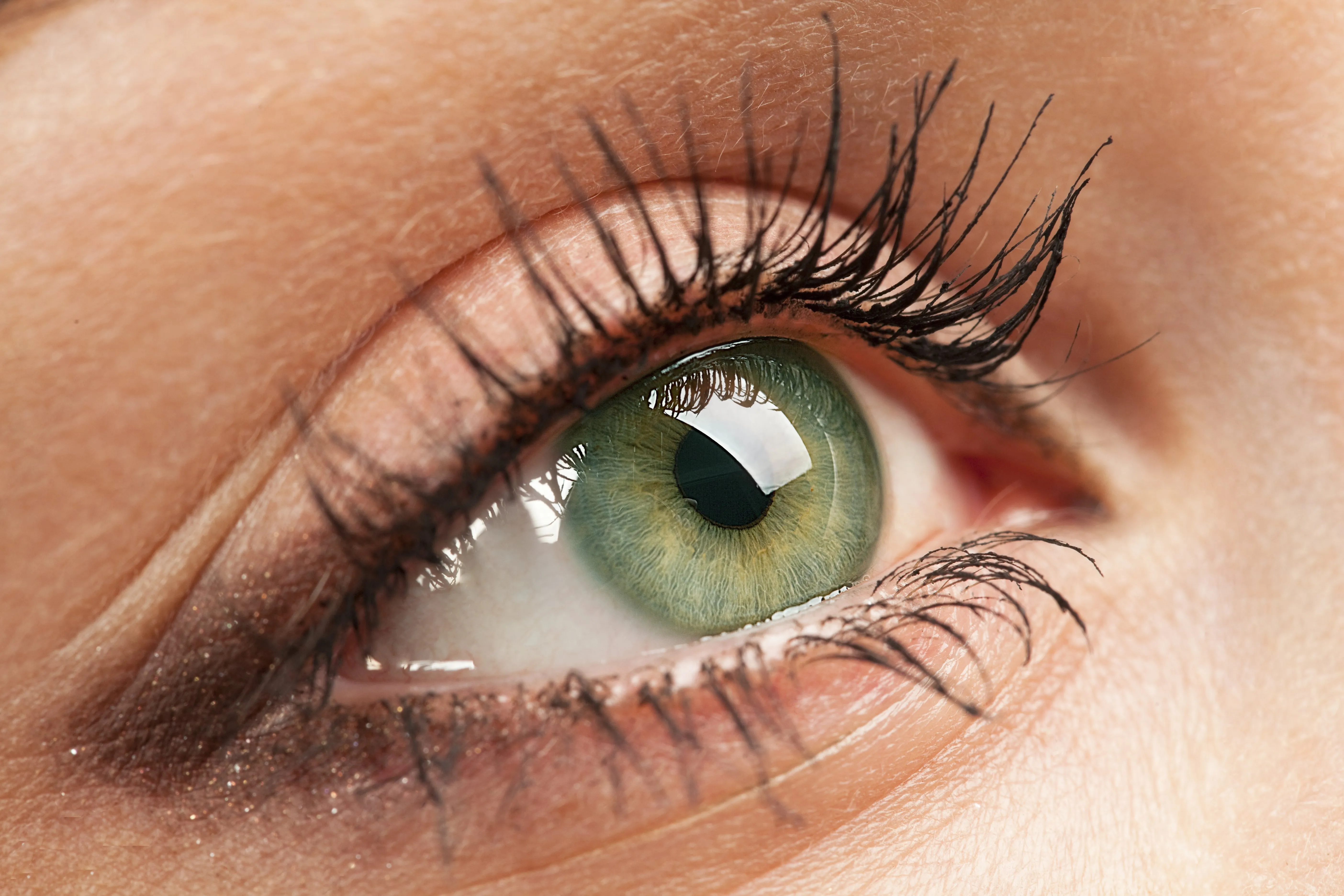 Ocular Signs of Dermatologic Conditions