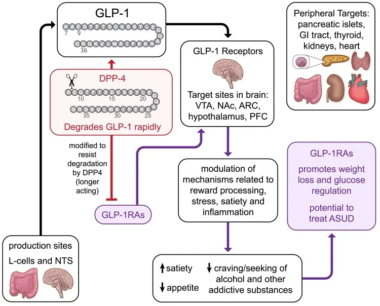 GLP1s