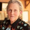Temple Grandin