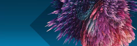 Where Pathways Drive Performance and Possibility