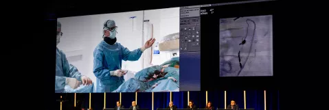 See Innovation in Action: Live Cases at LINC