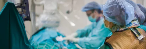 Sponsor and Supporter Info