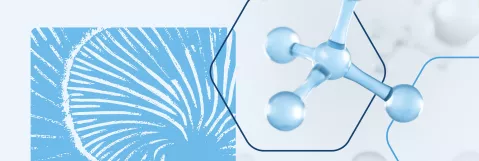 Empowering APPs with Advanced Education