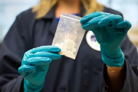 Fentanyl Article