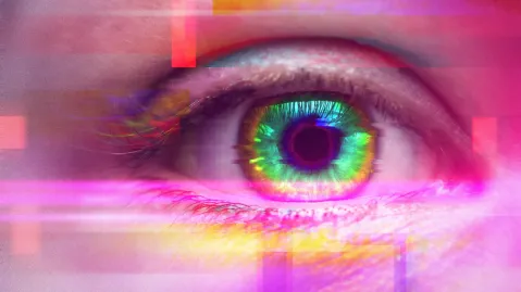 Eye