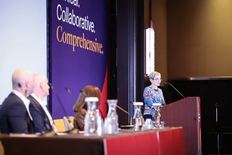 faculty presenting on stage at LL&M Congress