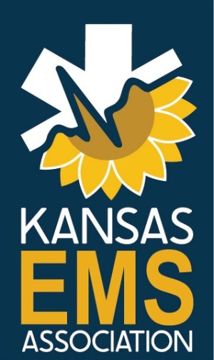 KEMSA