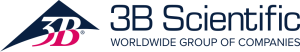 3B