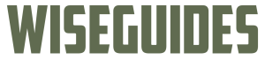 https://wiseguid.es/