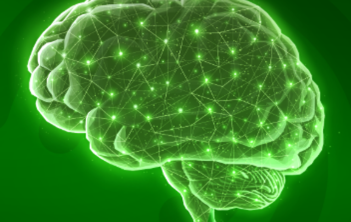 Brain image